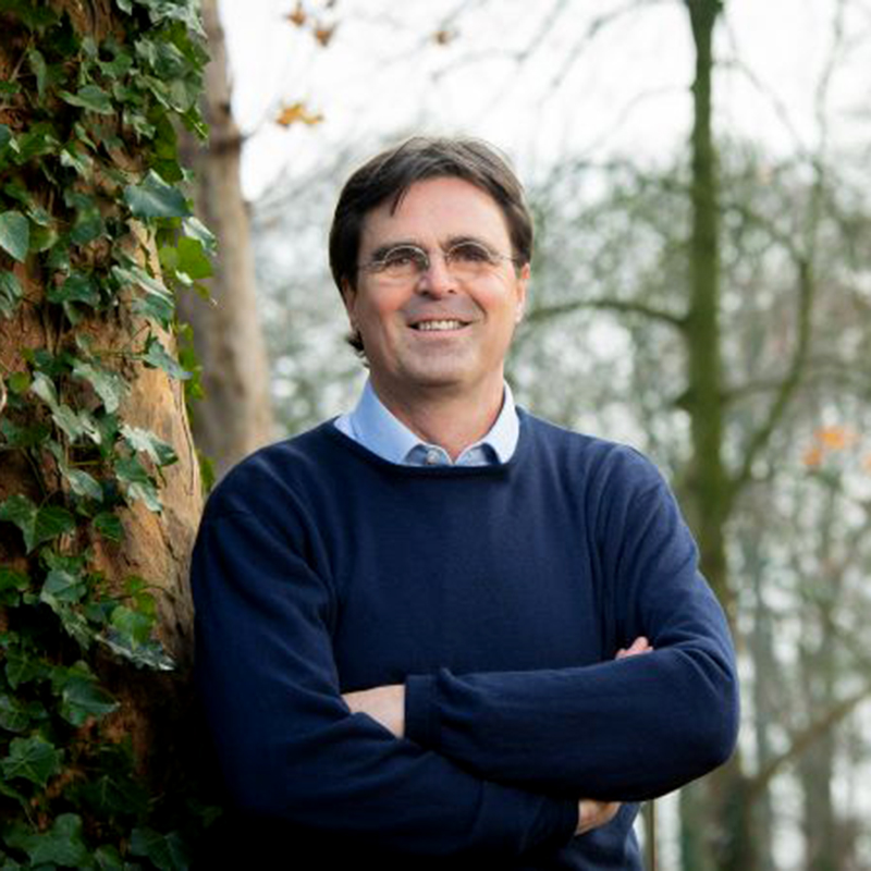 Maarten Willemen